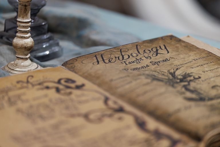 five books Vintage herbology book open on a table with a candle holder in the background.
