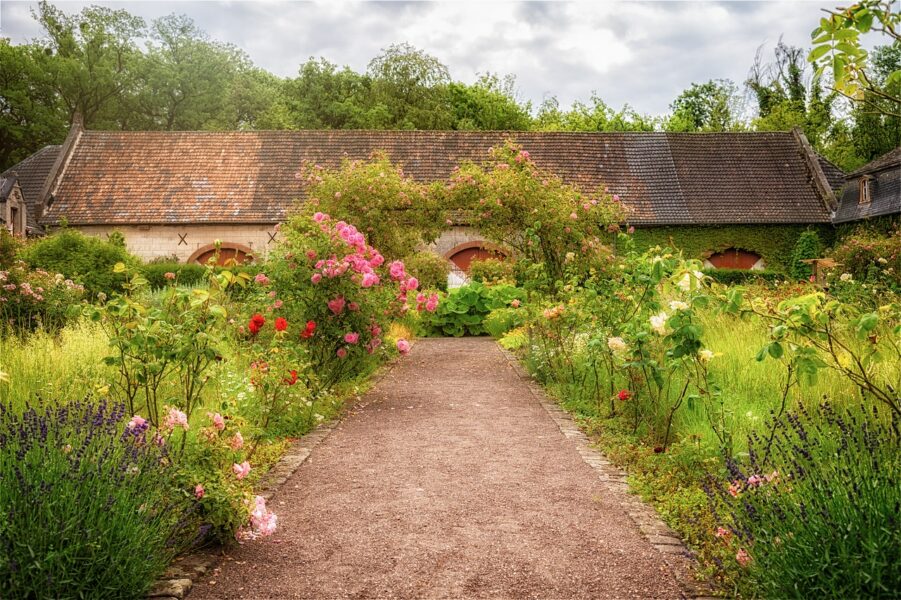 herb garden with roses