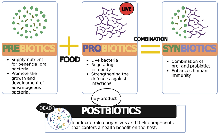 chart defining pre, post and pro biotics