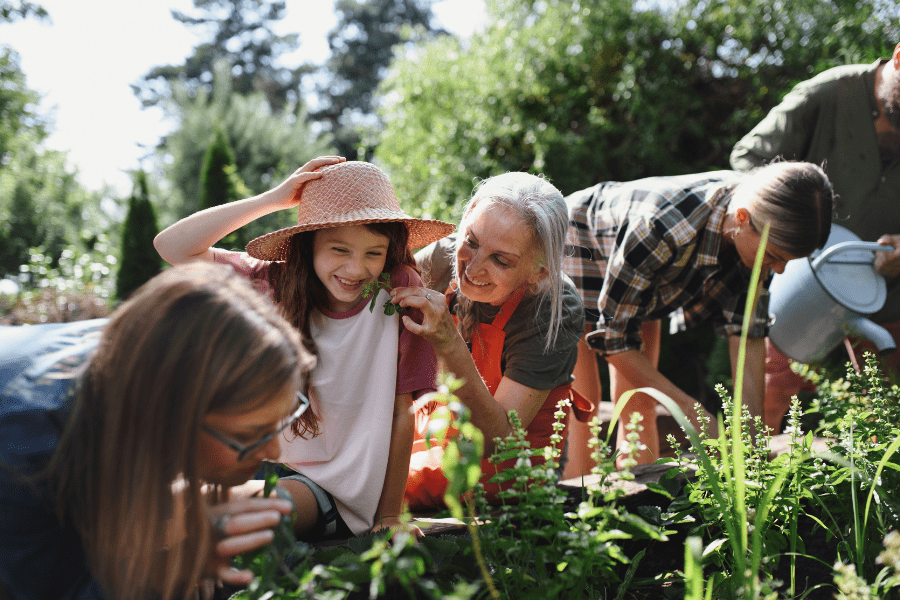 community herb gardens