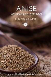 anise seed monograph