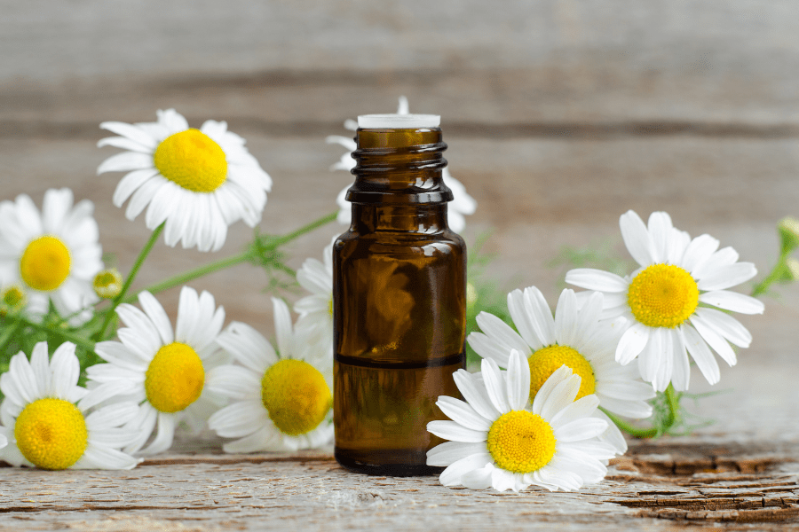 chamomile essential oil for aromatheray