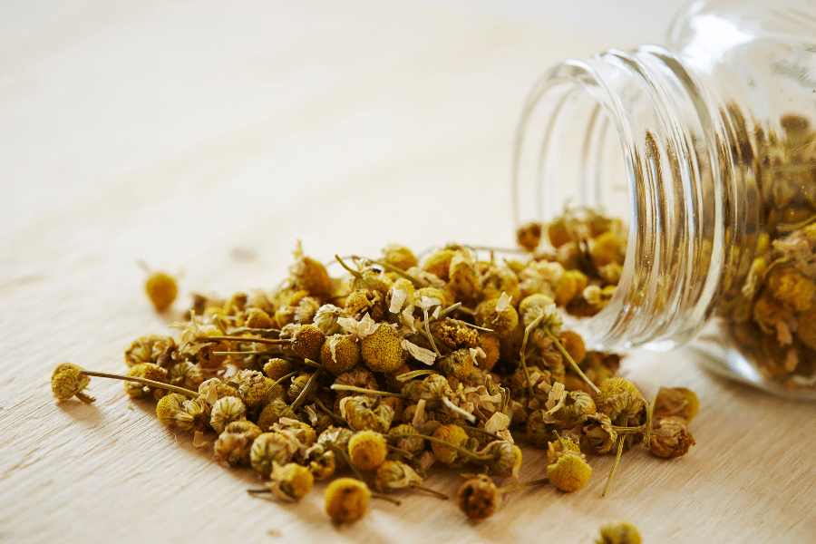 dried chamomile flowers for calming tea