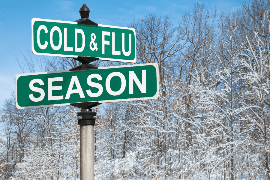 elderberry vs echinacea for colds and flu