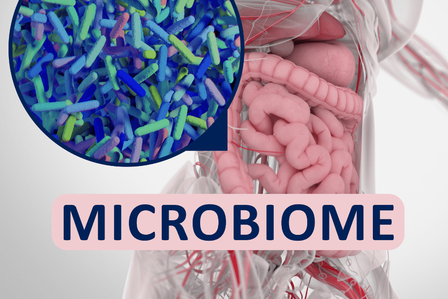 gut microbiome