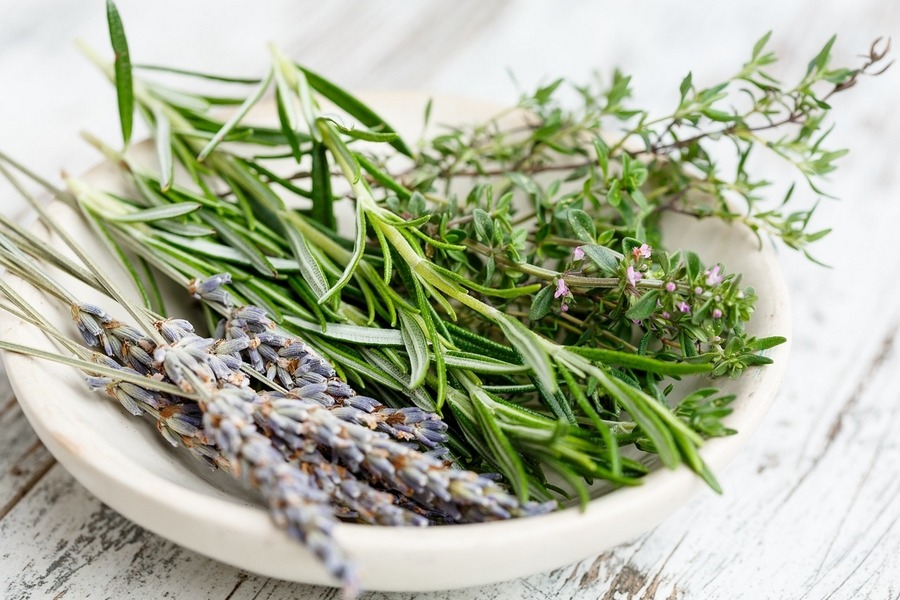 herbes de provence with herbs-lavender, rosemary and thyme