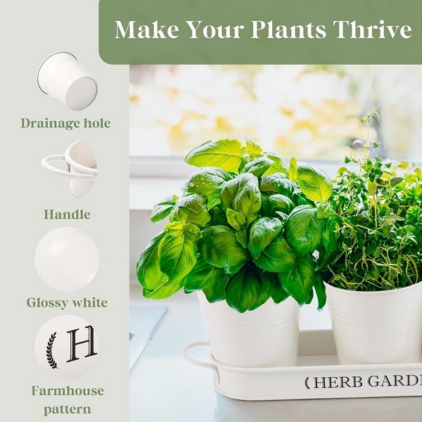 indoor window sill herb garden