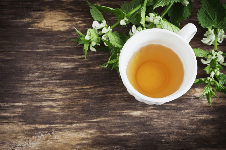 nettle leaf tea