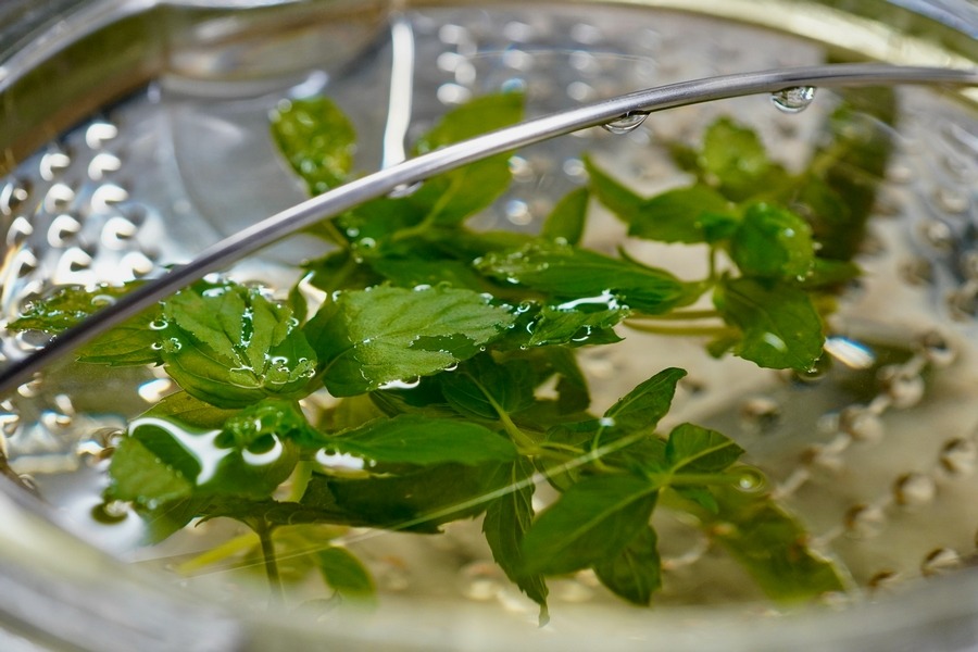 peppermint tea in strainer