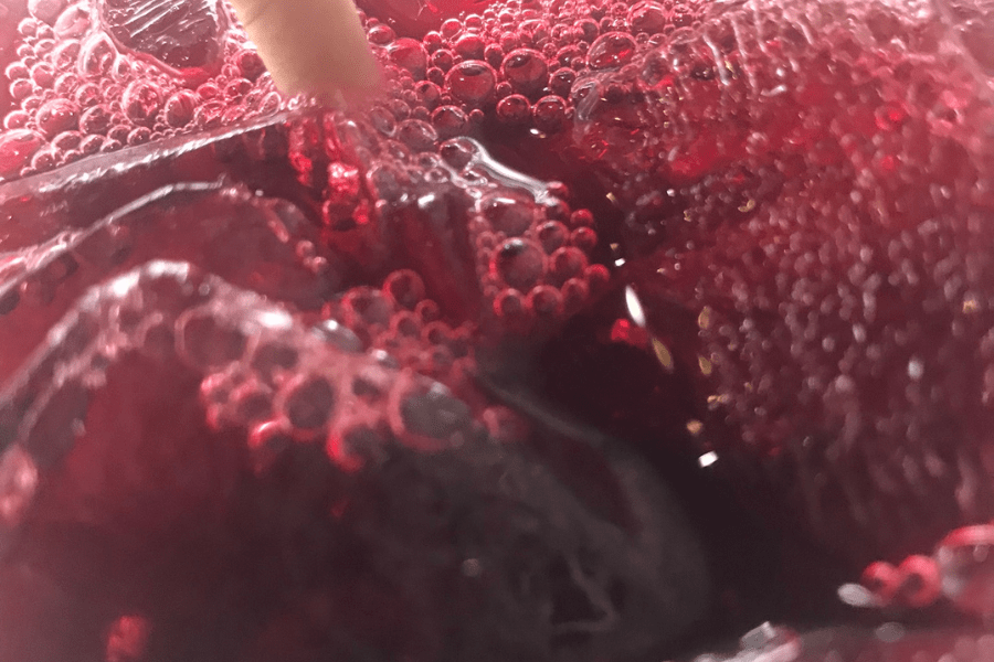 Hibiscus sabdariffa iced tea