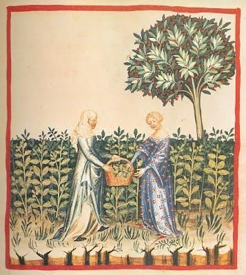 Wise Woman Healer 