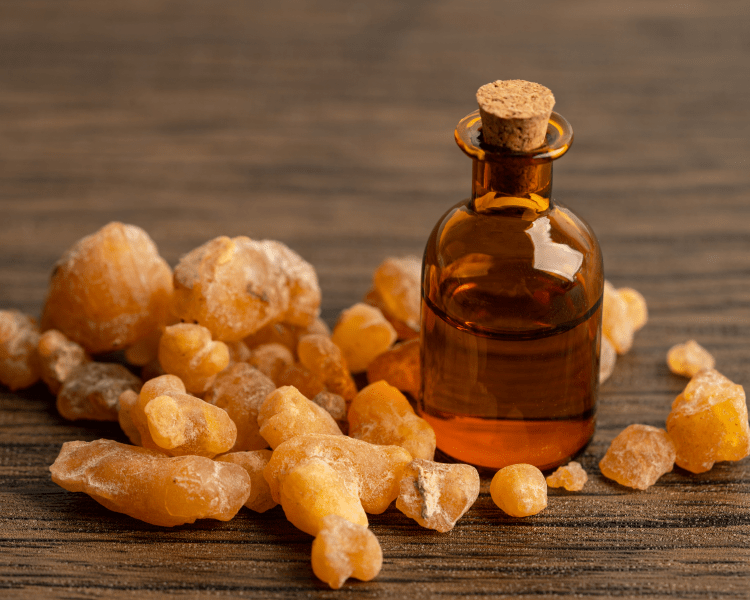 boswellia infused oil