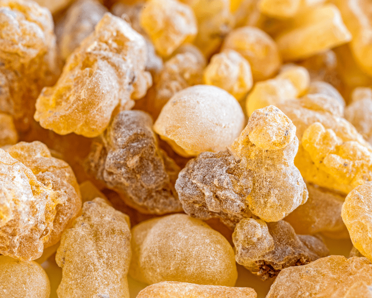 boswellia tears dried