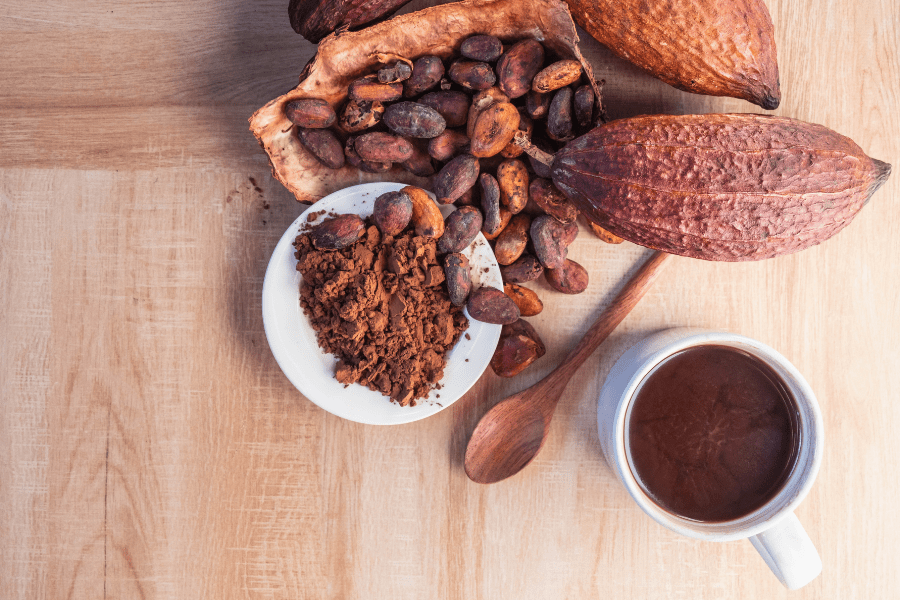 cup of chocolate, pods and beans of chocolate