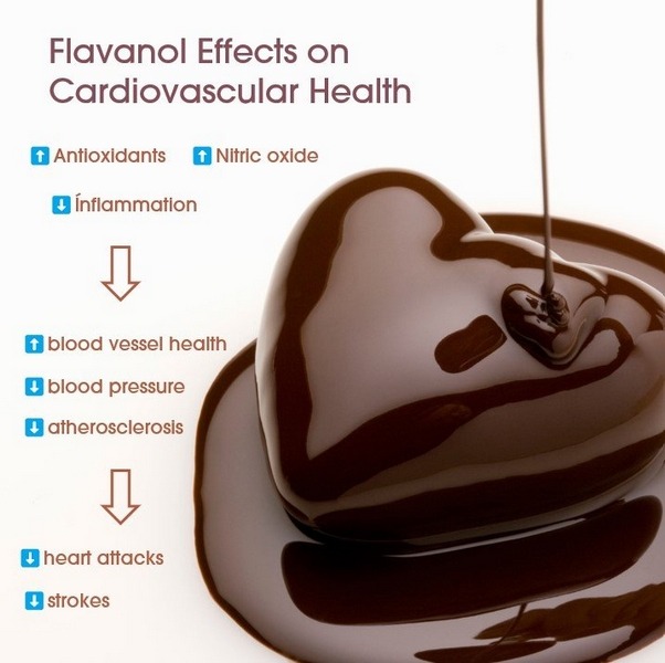 epicatechin+in+cocoa+and+chocolate+improves+cardiovascular+health