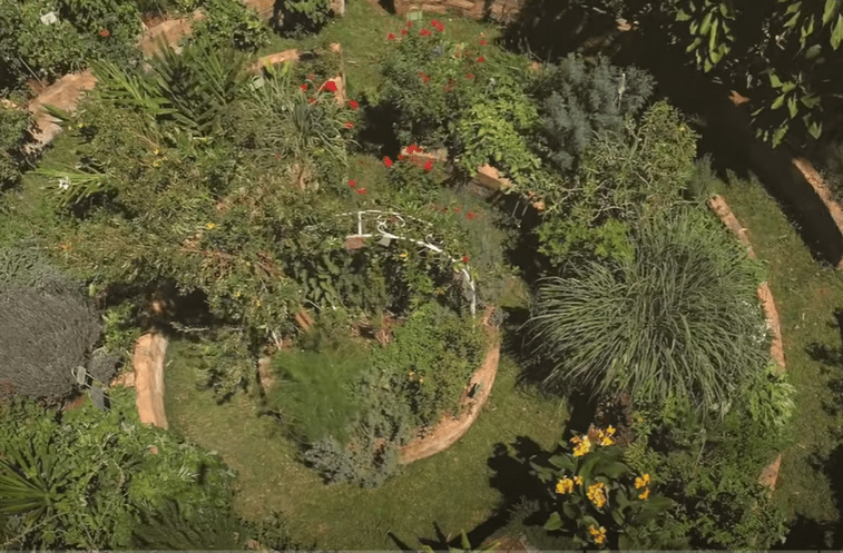 medicinal herb garden plan