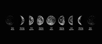 moon phases