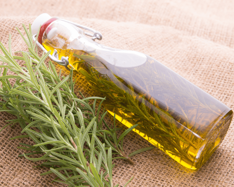 rosemary infused oil 