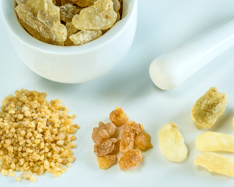 various colors of boswellia