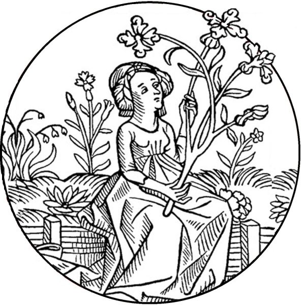 wise woman medieval woodcut