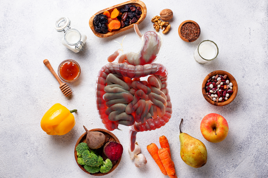 gut-health inflammation