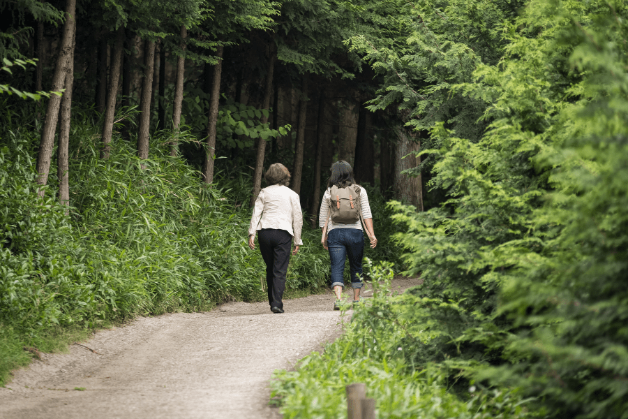 lifestyle and wellness forest bathing