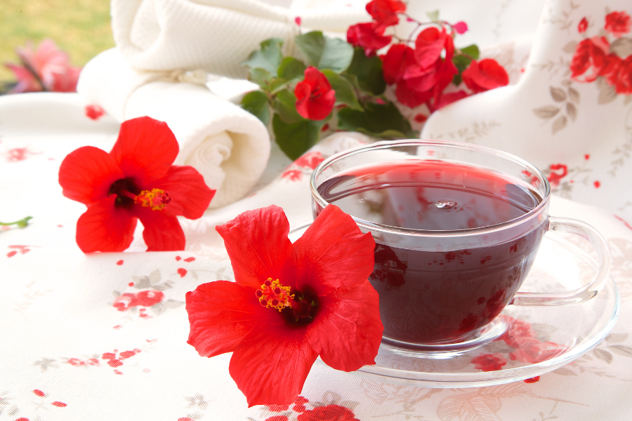 hibiscus