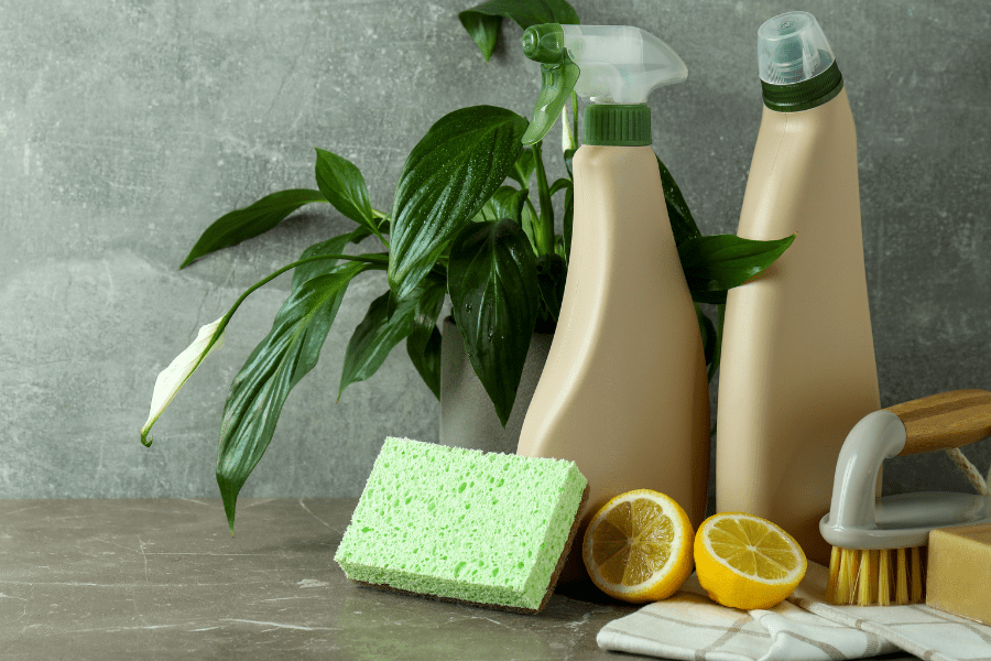 eco-home essentials