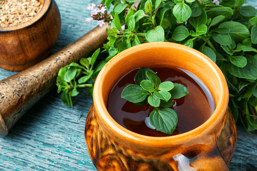 oregano tea