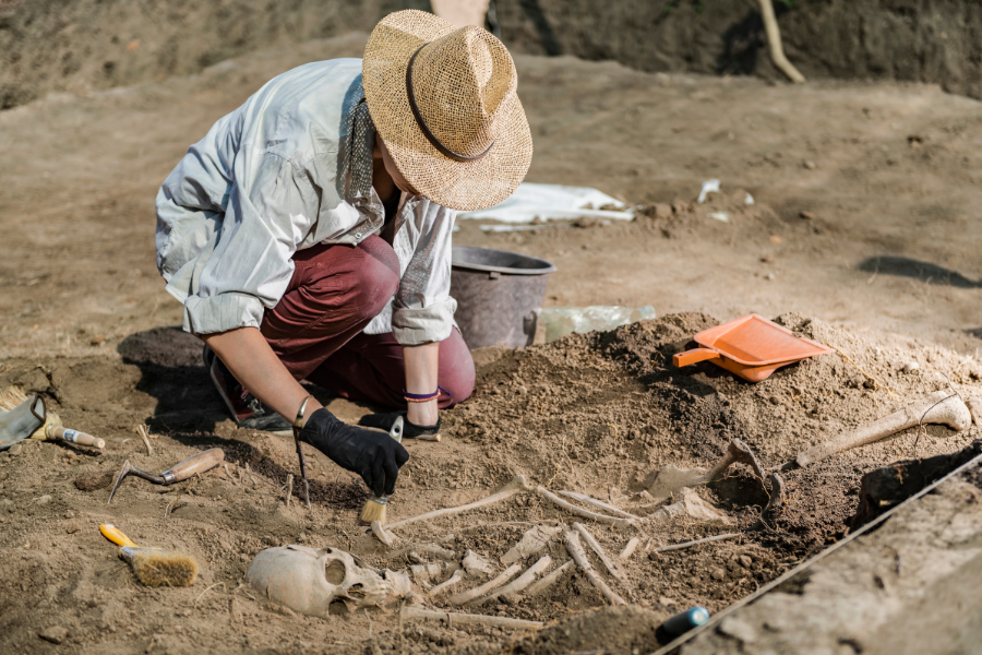 ancient healing practices with plants