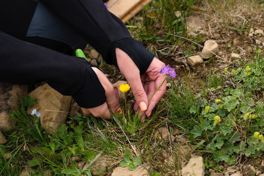 knowing the right herbs to use