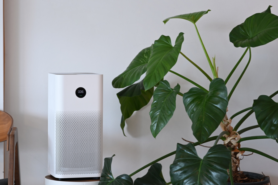 anti-inflammatory indoor living spaces air filter