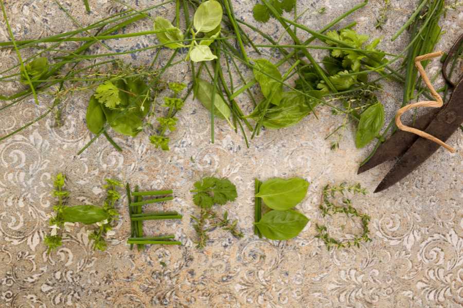 herbal preparations for inflammation