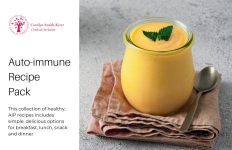 Autoimmune Recipe Pack
