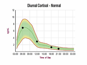 normal cortisol curve 2024