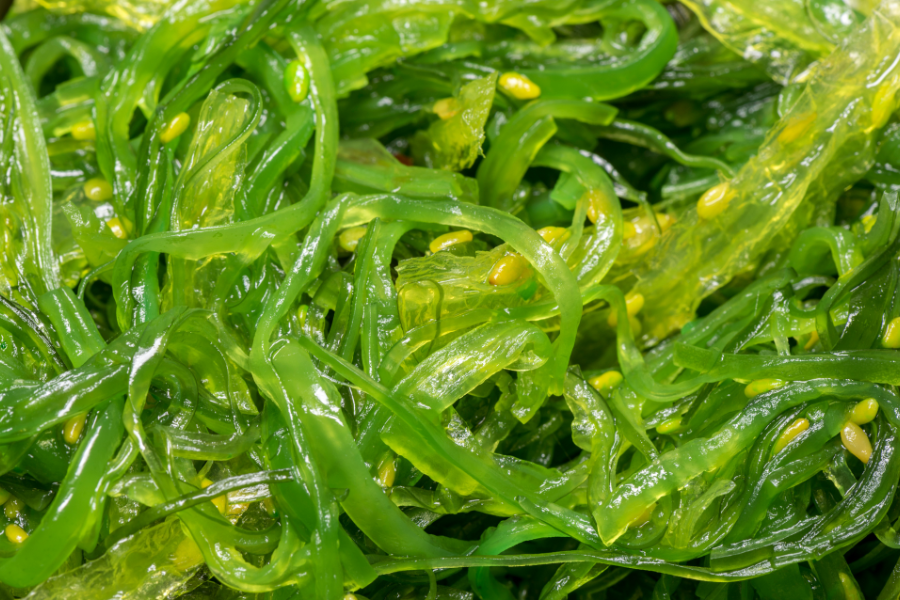 sea vegetables