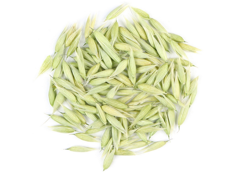 oat tops milky