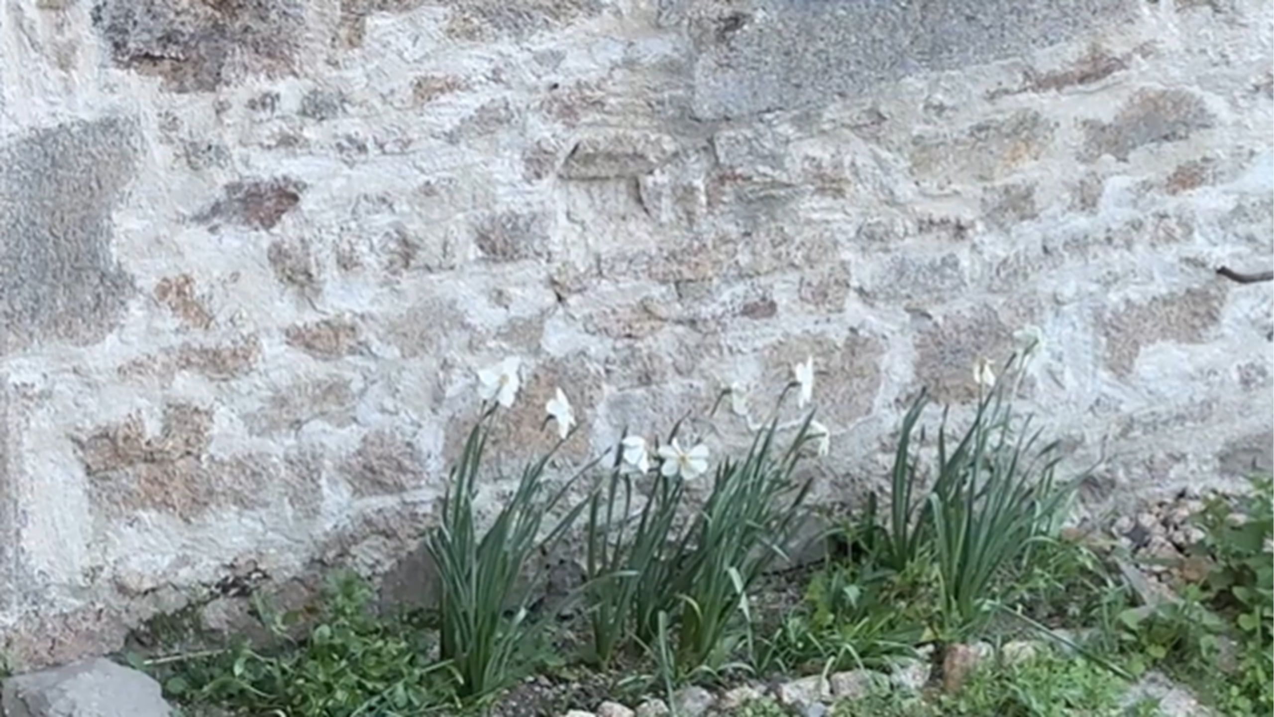 what it means to live fully