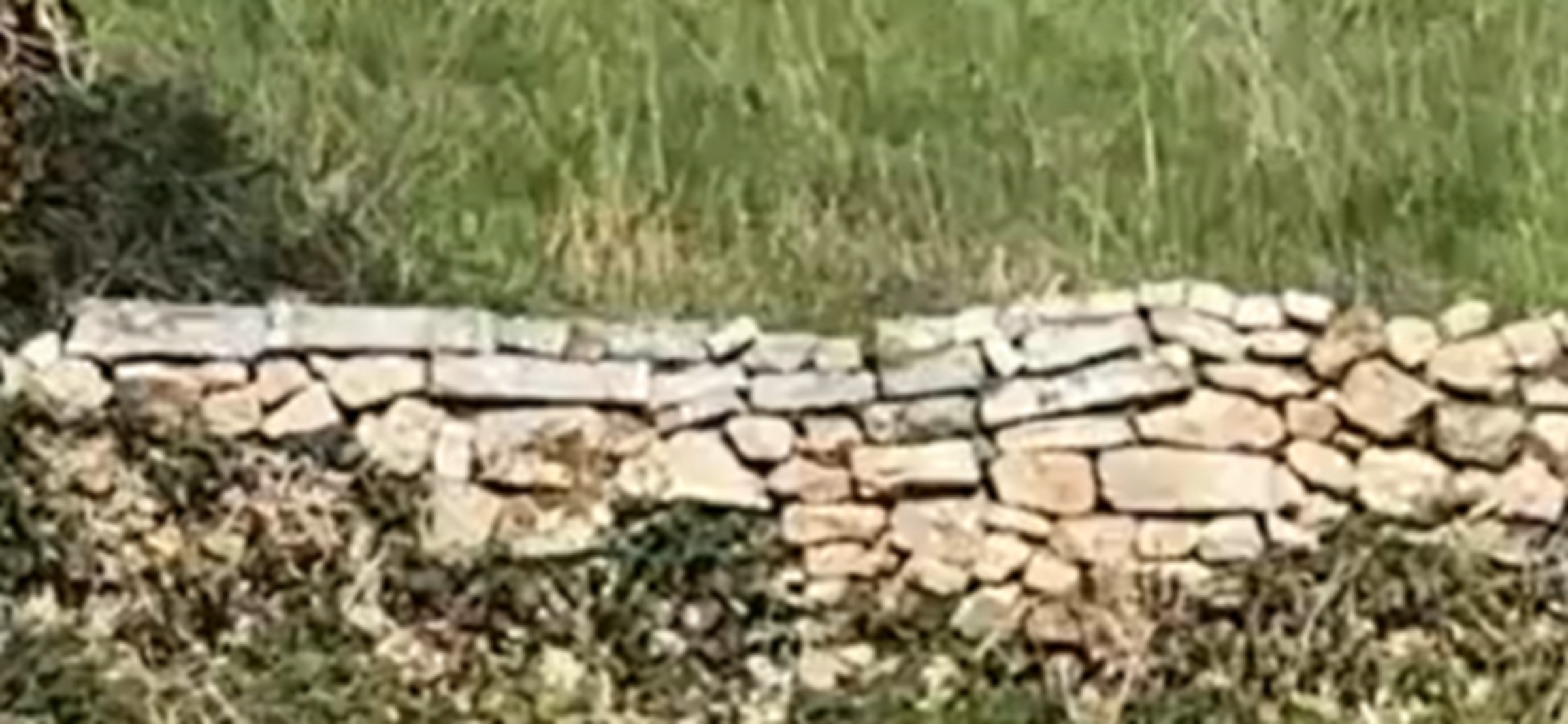 what we set in motion