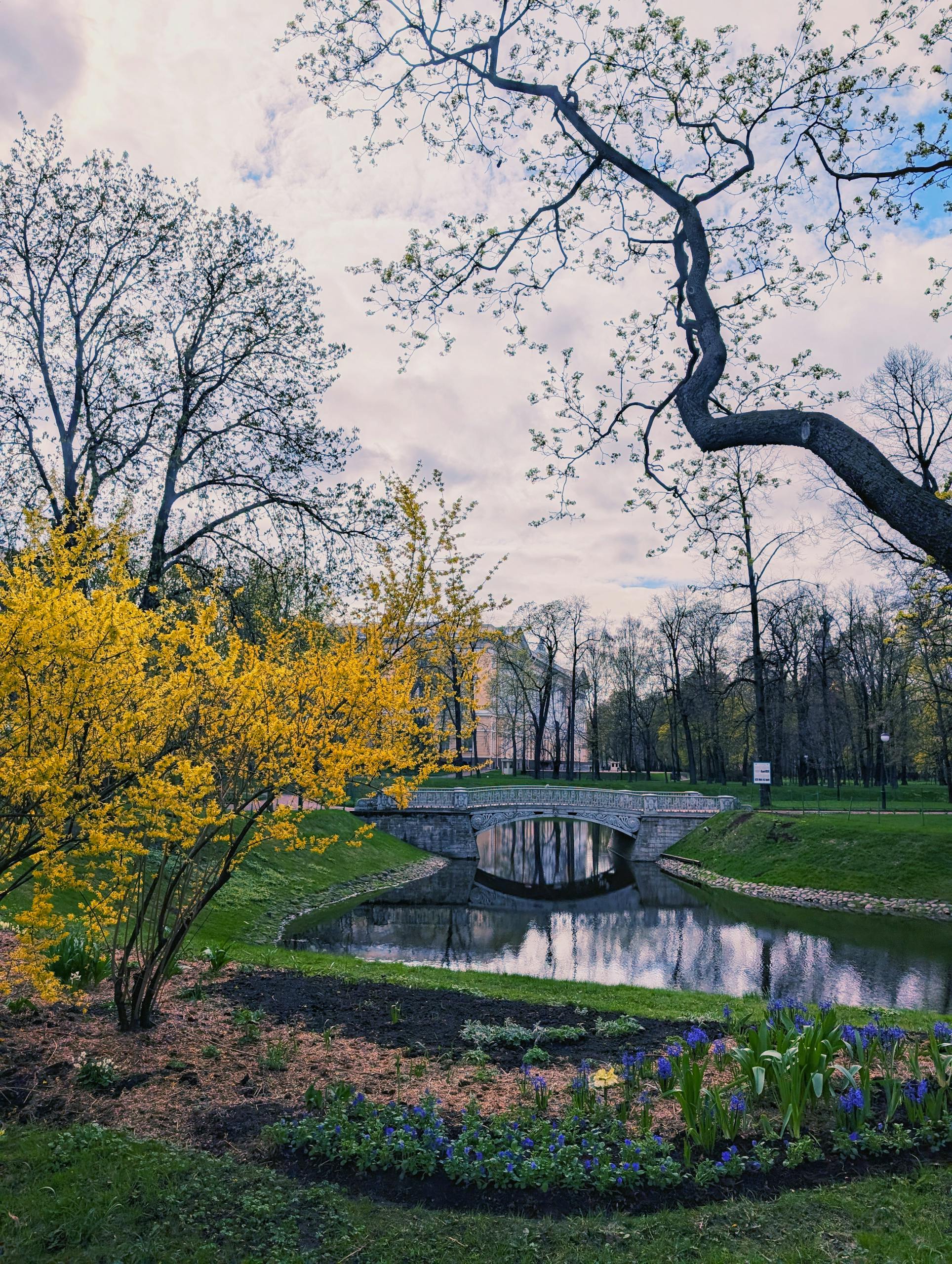 Galenic spring protocol