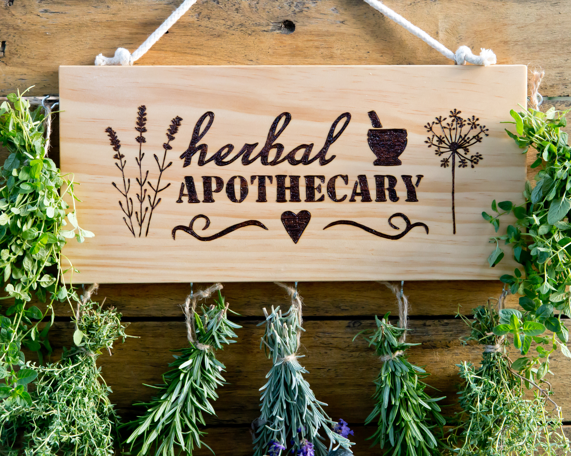 herbalist's harvest calendar