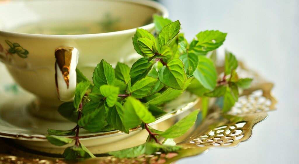 peppermint leaves and a cup of tea